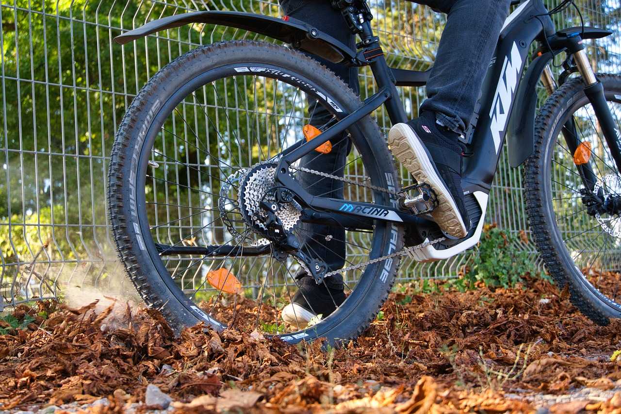 E-Bikes Elektrofahrrad Fahrrad Sport Fit